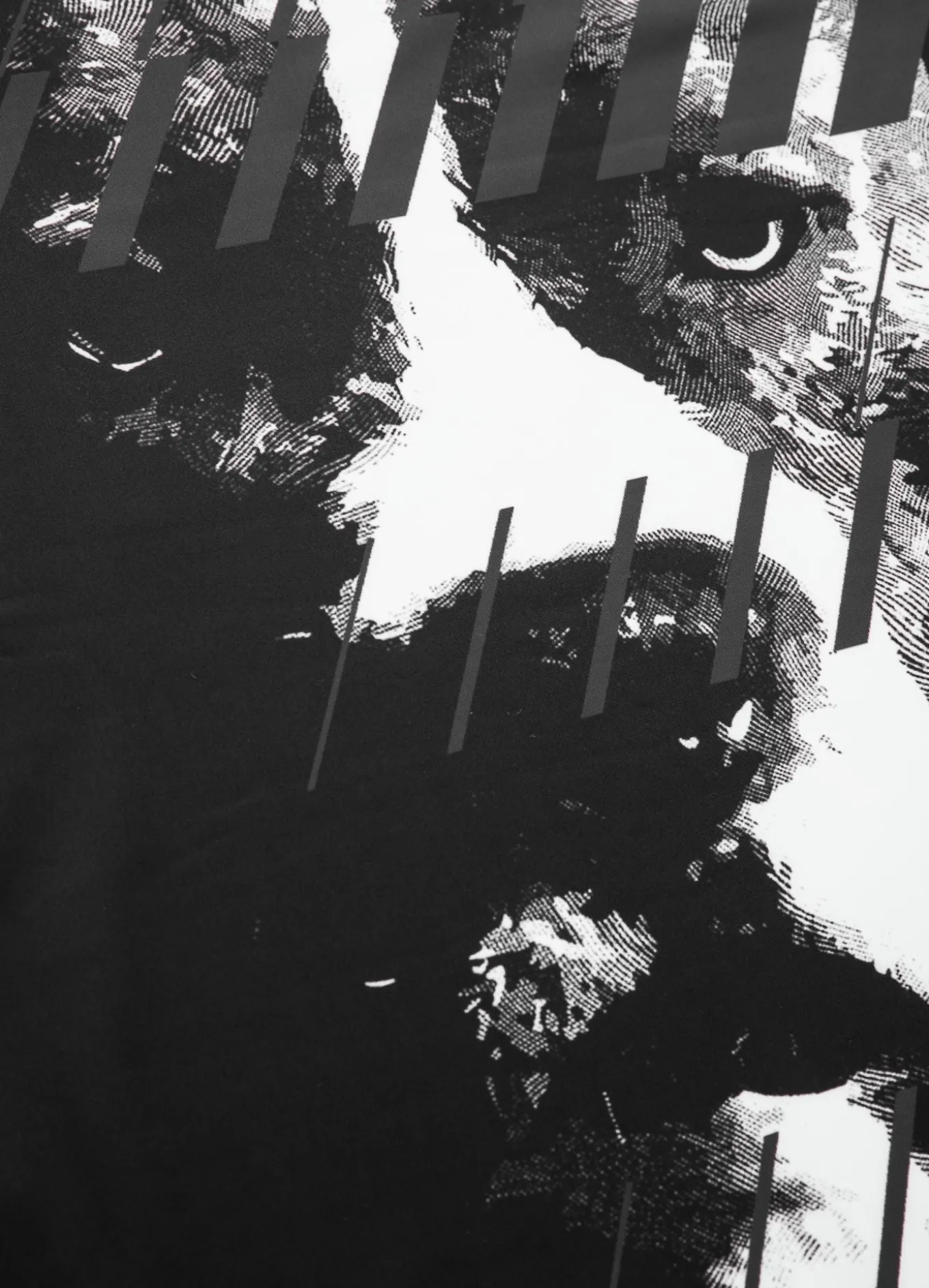 Longsleeve Rashguard Street Dog