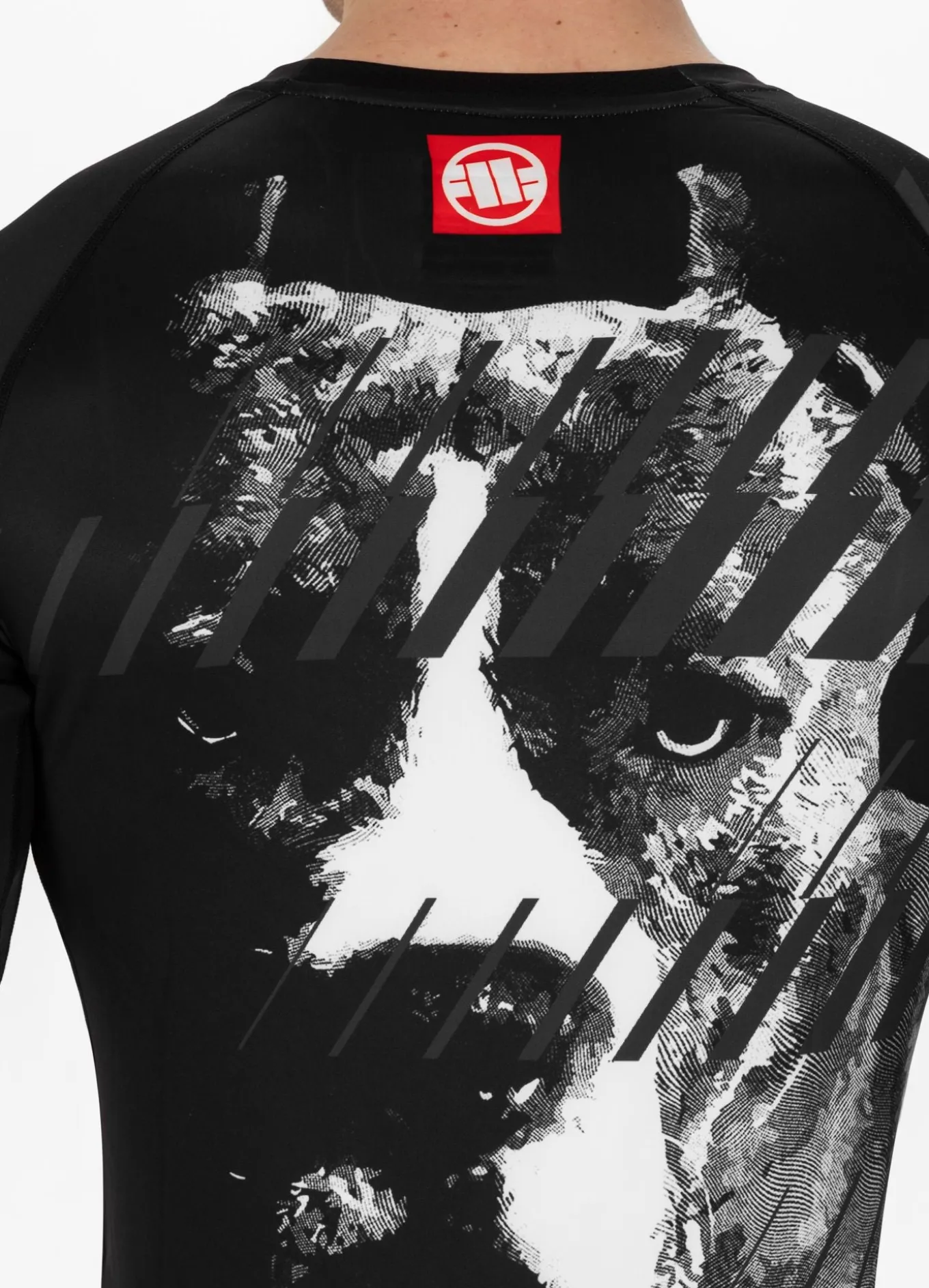Longsleeve Rashguard Street Dog