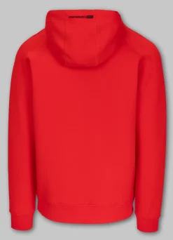 Men's Hoodie DOGWOOD