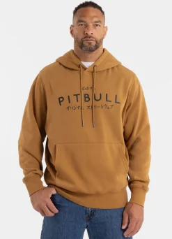 Men's Hoodie Washed MT FUJI