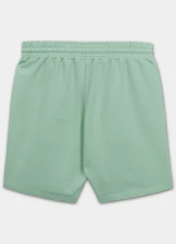 Men's sweat shorts TAPE NUGGET - Light mint