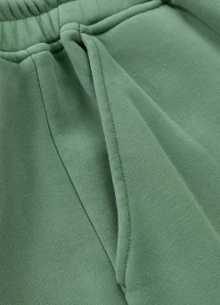 Men's Sweat shorts Washed Lancaster II - Sage green