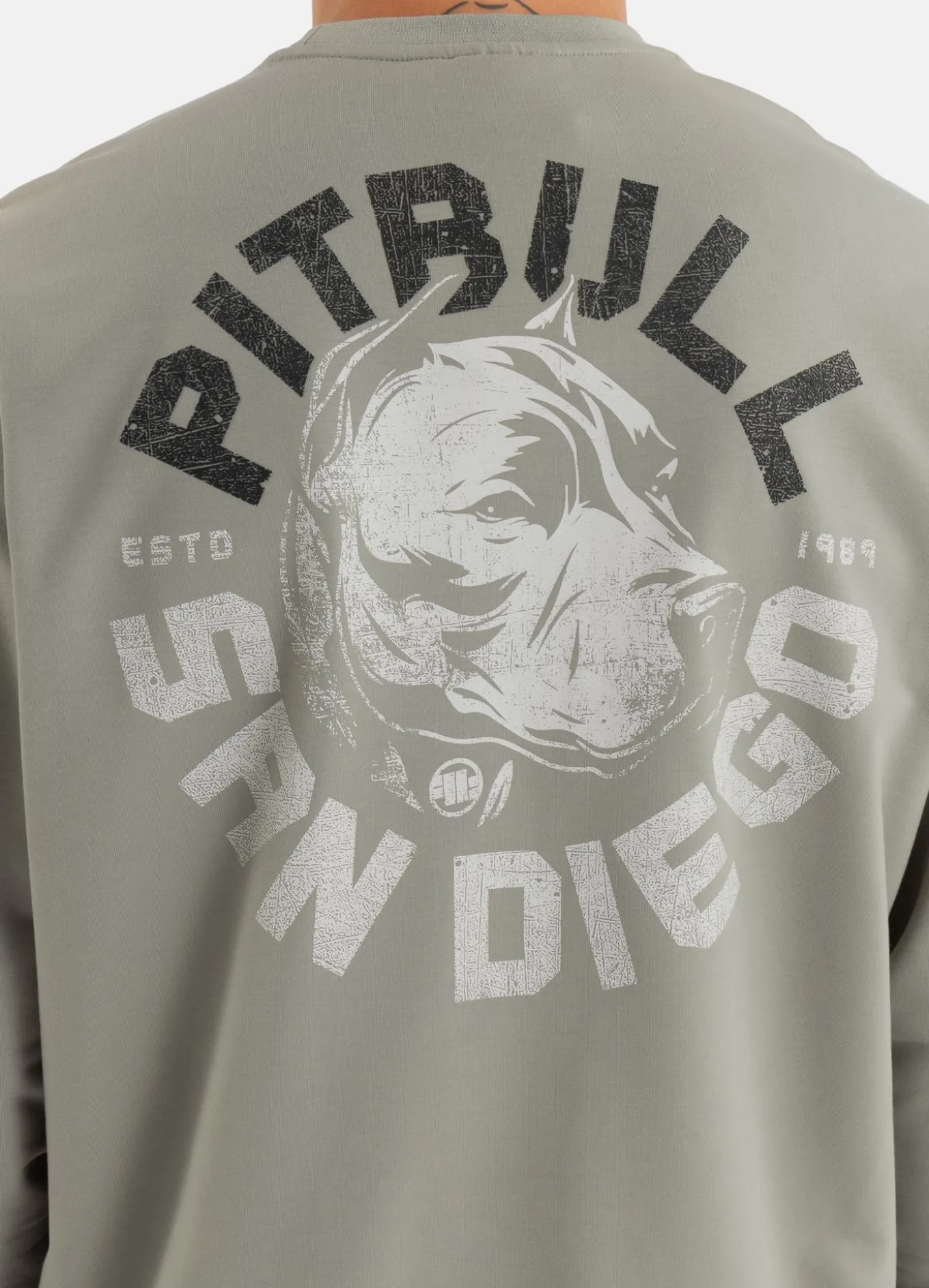 Men's Sweatshirt DOG SD - Dusty Salvia
