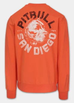 Men's Sweatshirt DOG SD - Salmon