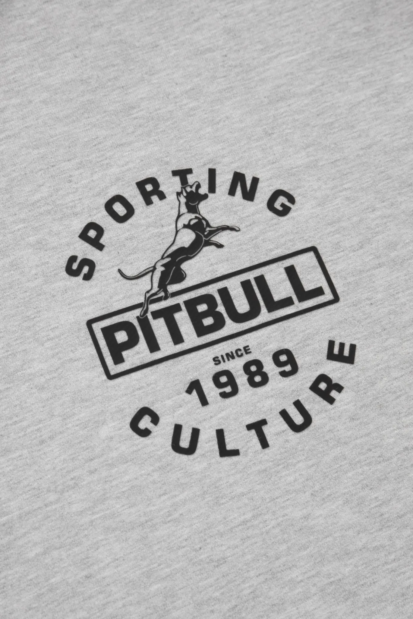 Men's Sweatshirt PHYSICAL CULTURE - Gray