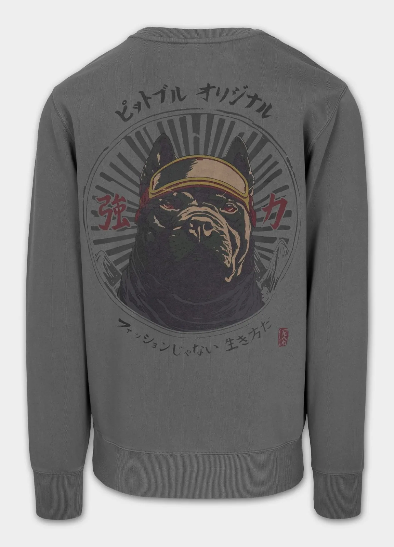 Men's Sweatshirt Washed MT FUJI