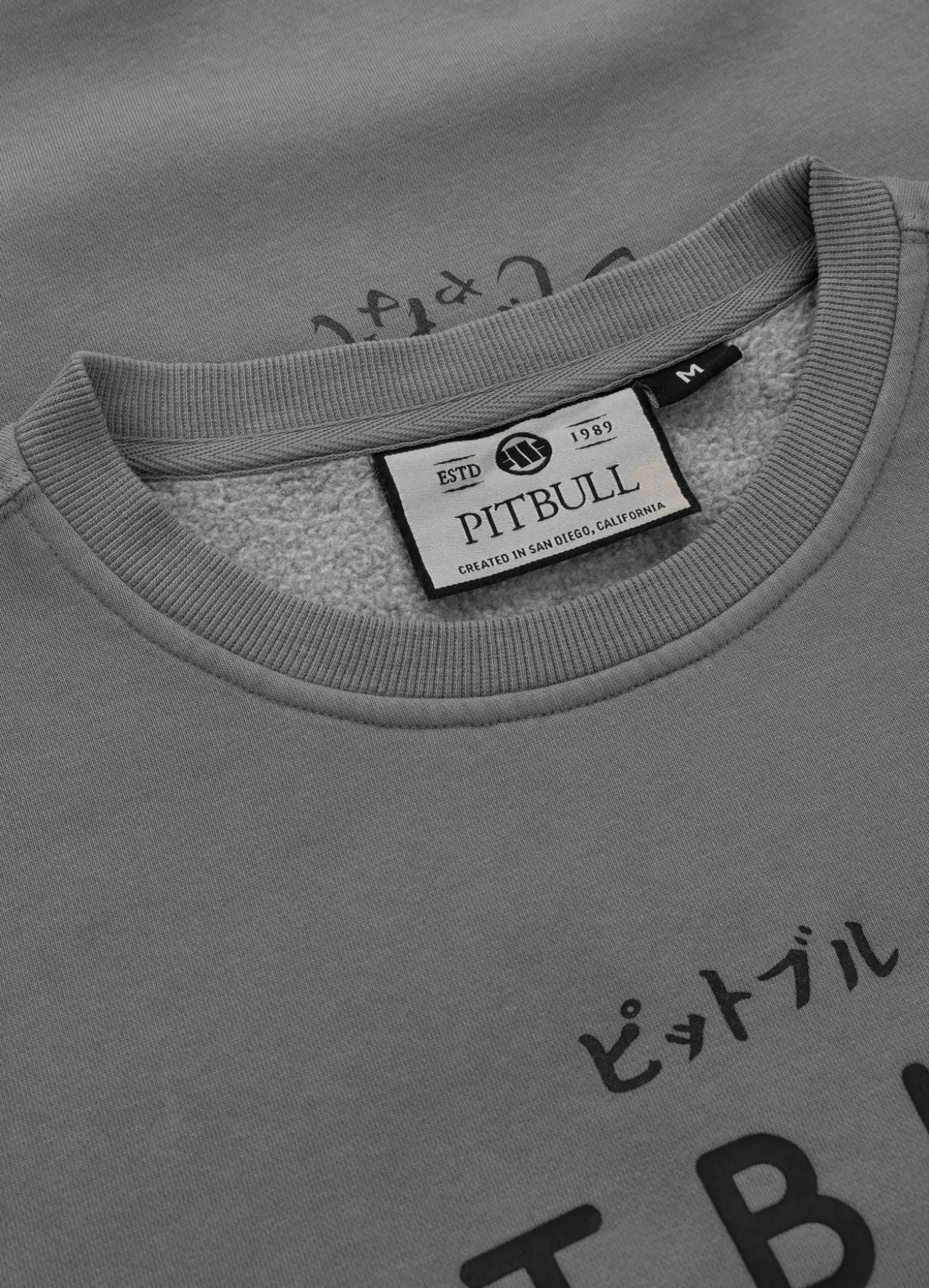 Men's Sweatshirt Washed MT FUJI