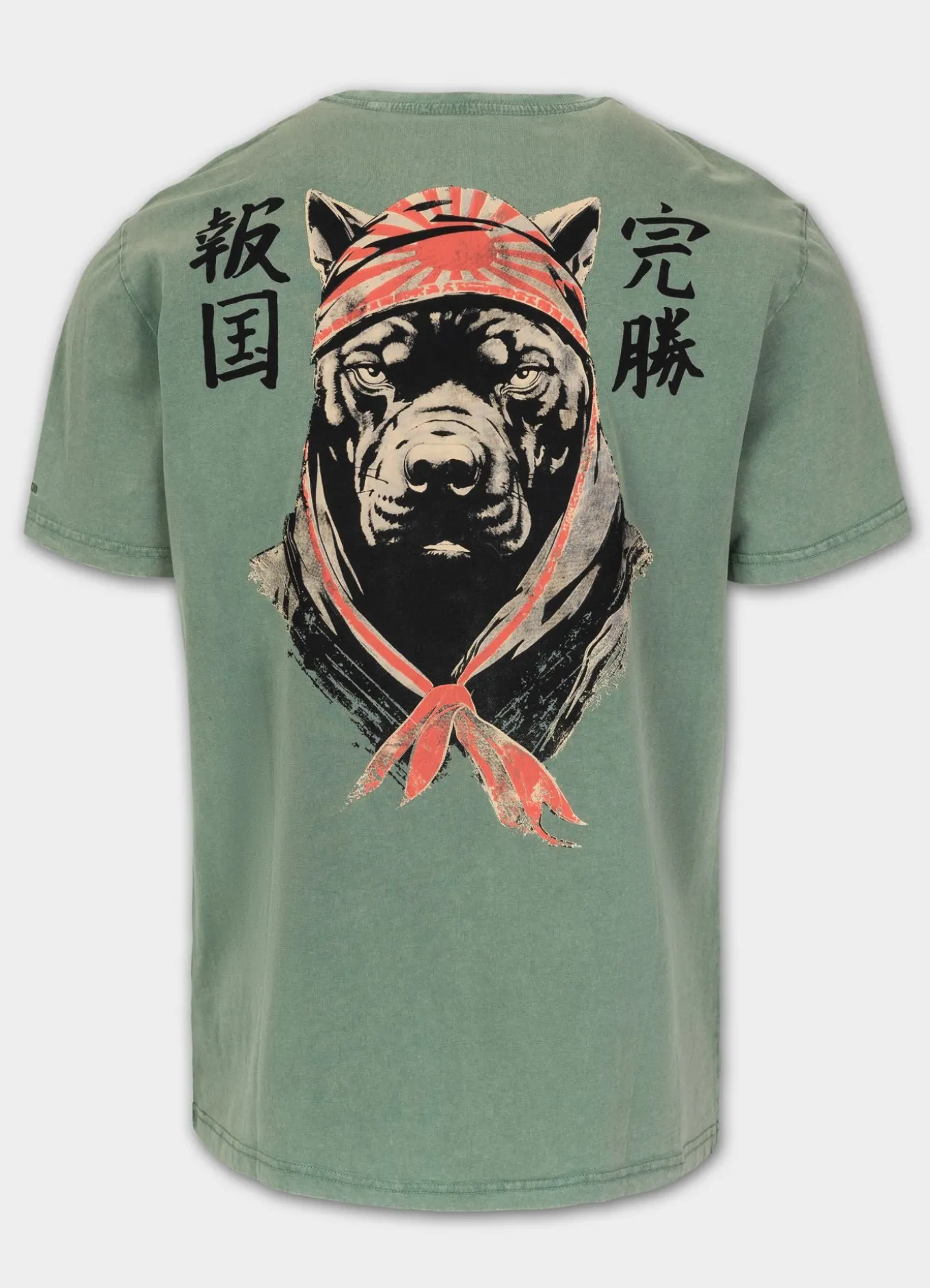 Men's T-Shirt Denim Washed BRAVERY - Green