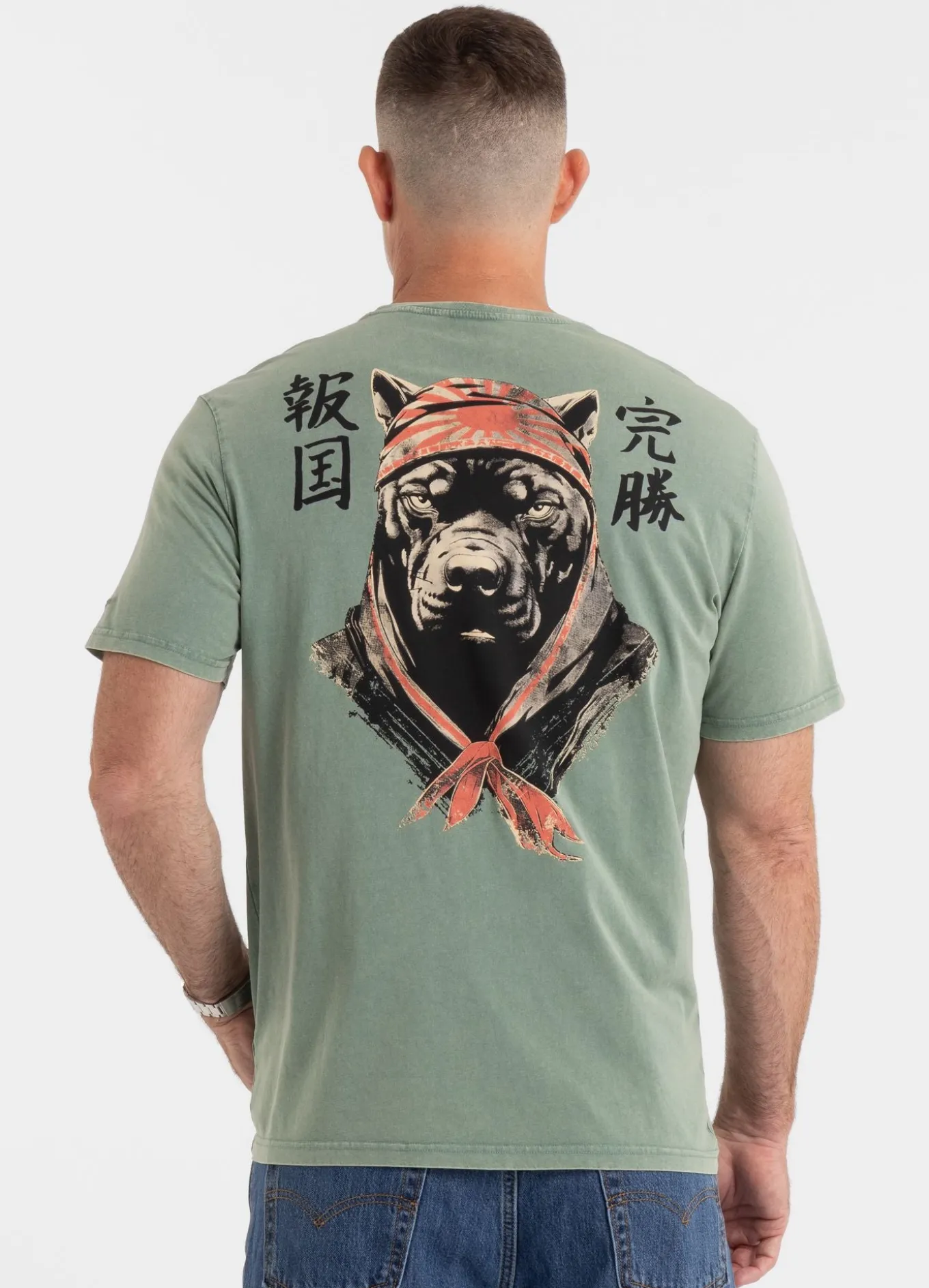 Men's T-Shirt Denim Washed BRAVERY - Green