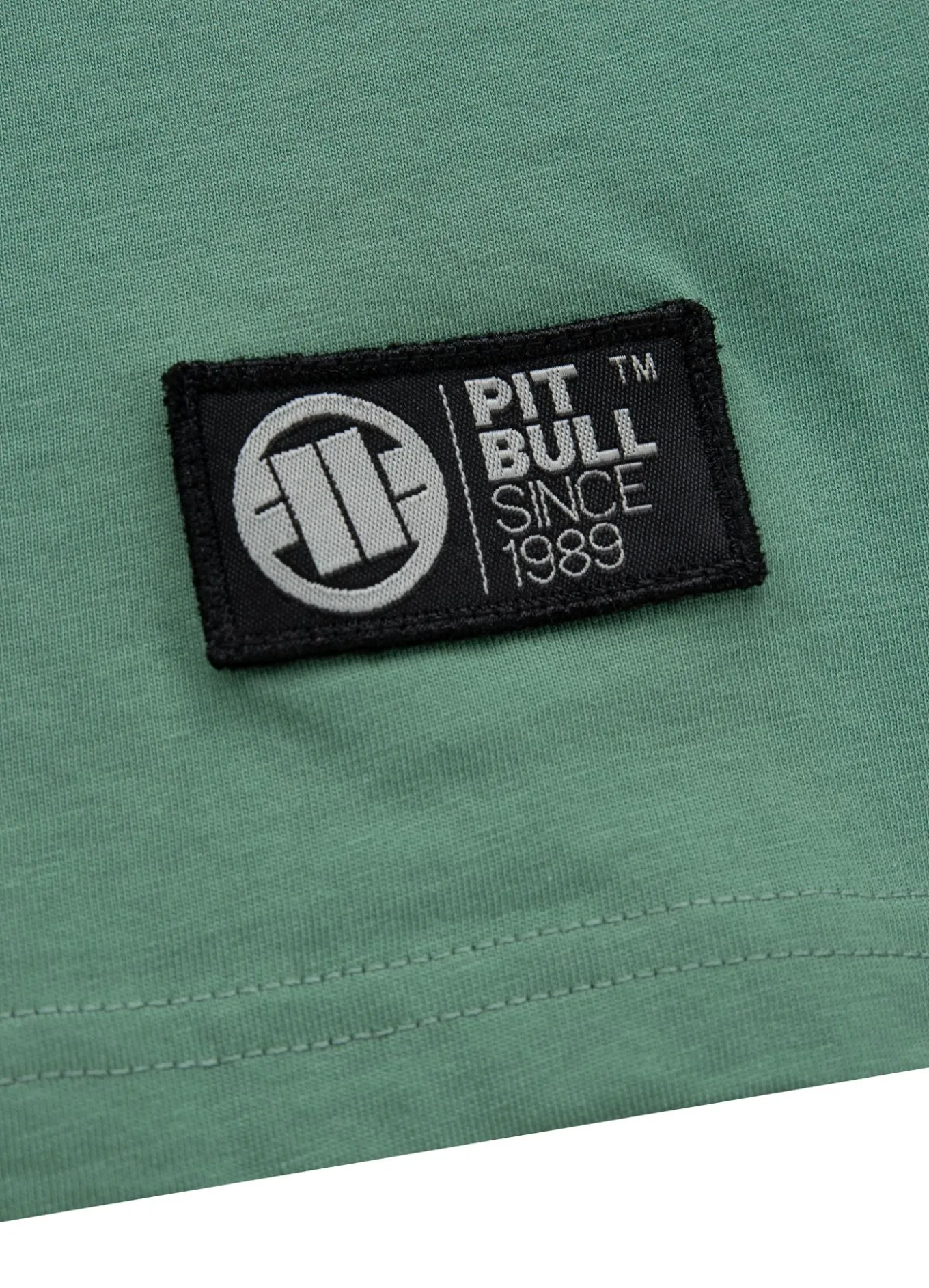 Men's T-Shirt DRIVE - Mint