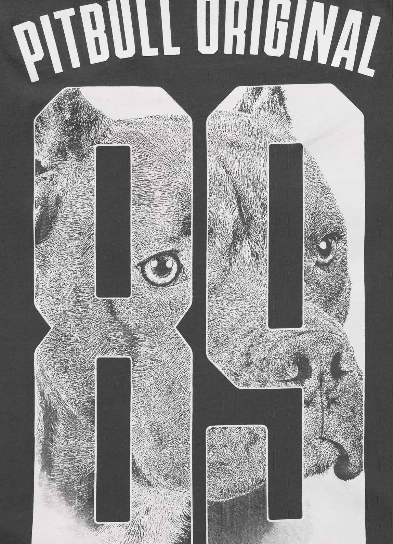 Men's T-Shirt EIGHTY NINE DOG - Graphite