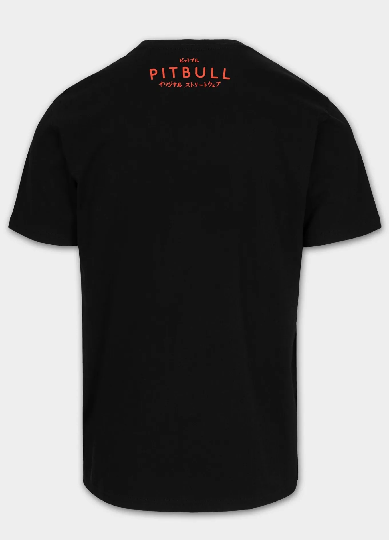 Men's T-Shirt FUJI - Black