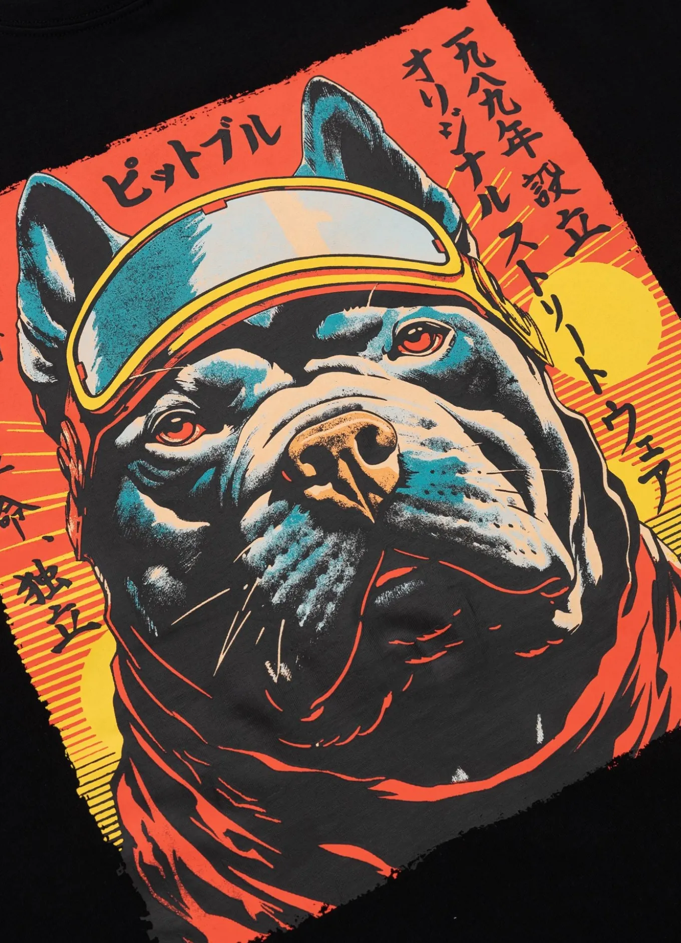Men's T-Shirt FUJI - Black