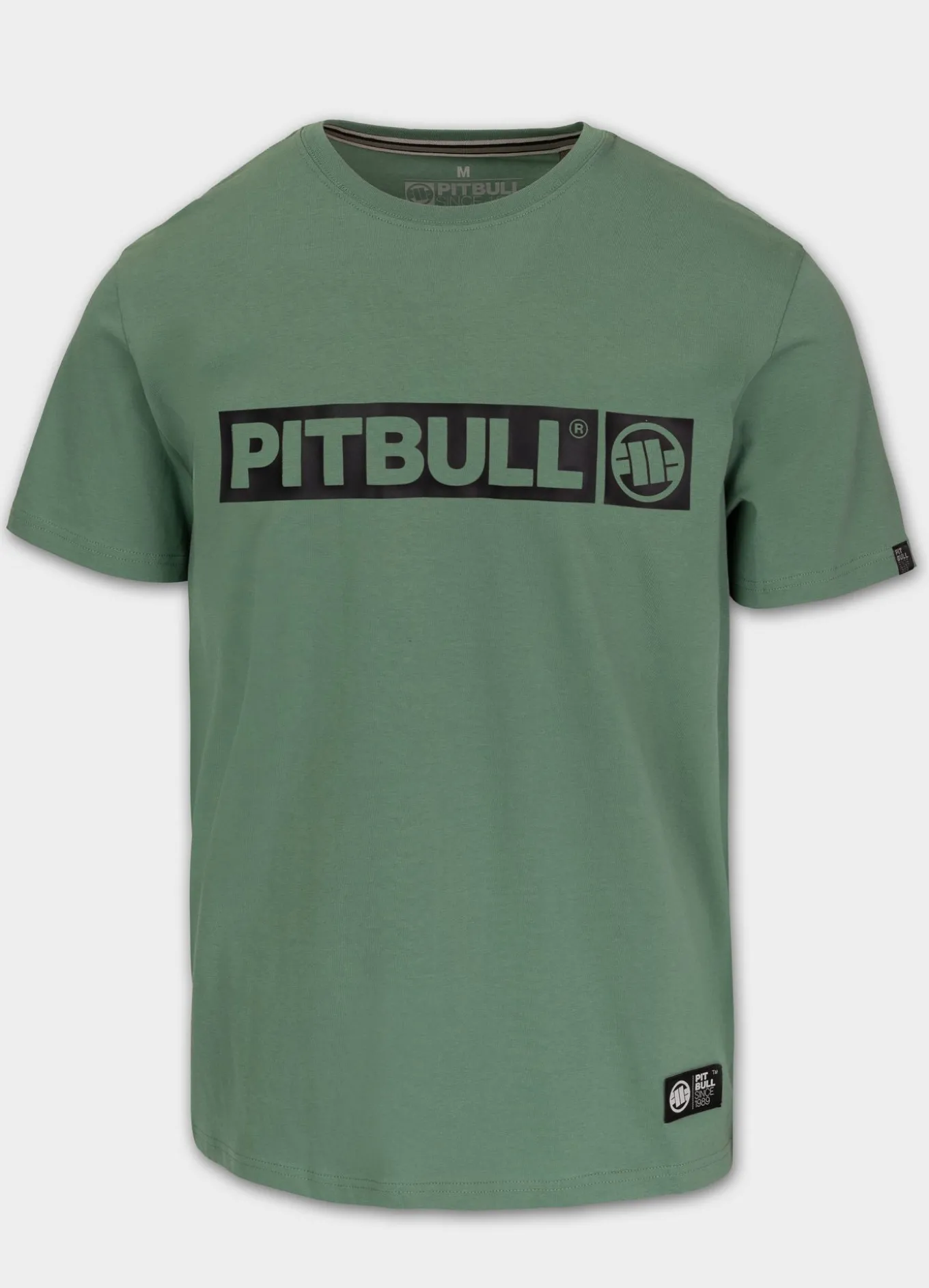 Men's T-Shirt HILLTOP - Mint