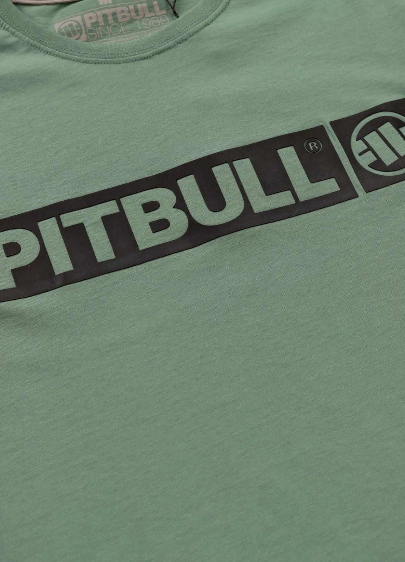 Men's T-Shirt HILLTOP - Mint