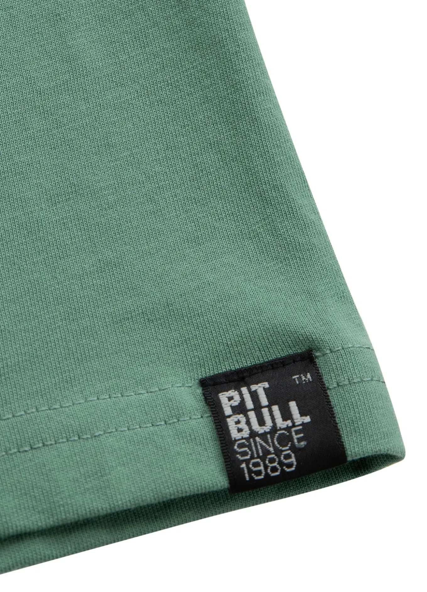 Men's T-Shirt OCEANSIDE - Mint