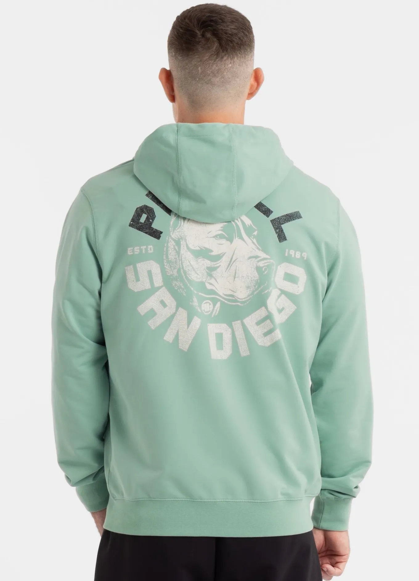 Men's Zip-up hoodie DOG SD - Mint