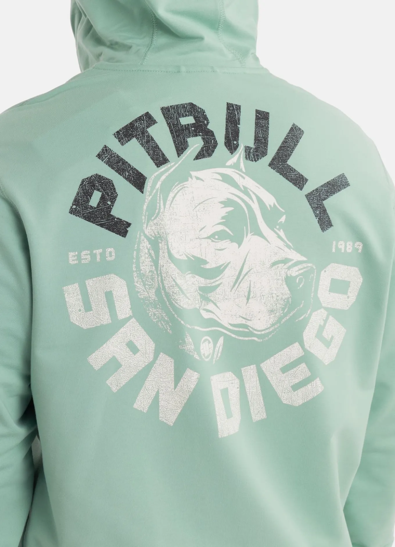 Men's Zip-up hoodie DOG SD - Mint