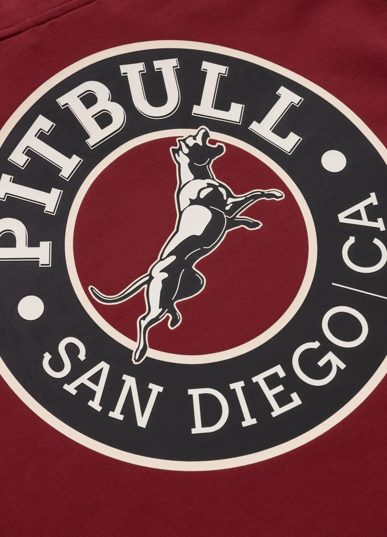 Men's Zip-up hoodie SAN DIEGO CA