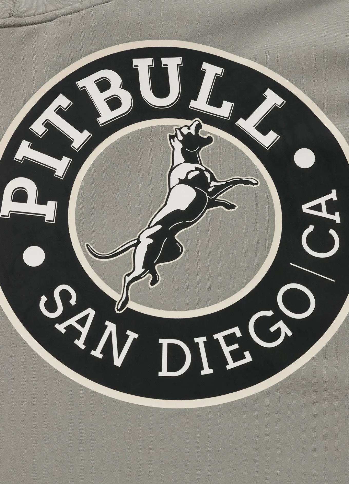 Men's Zip-up hoodie SAN DIEGO CA