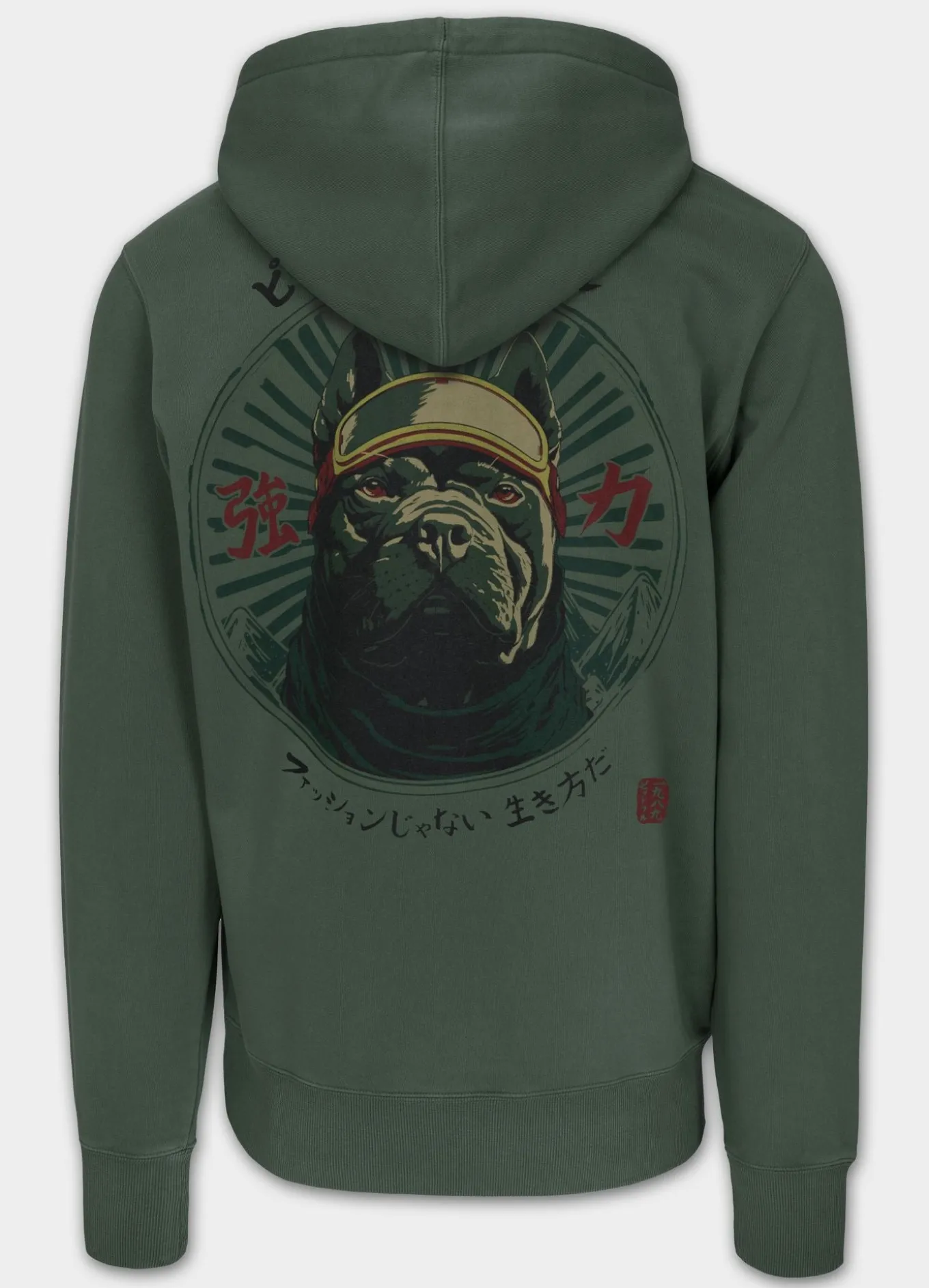 Men's Zip-up hoodie Washed MT FUJI