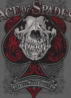 Men's Zip-up hoodie Washed ACE OF SPADES - Gray