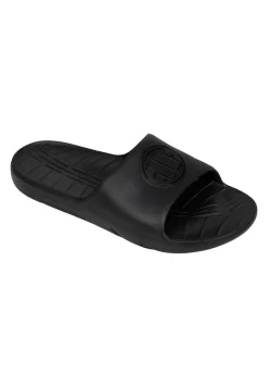 Slides TALBOT