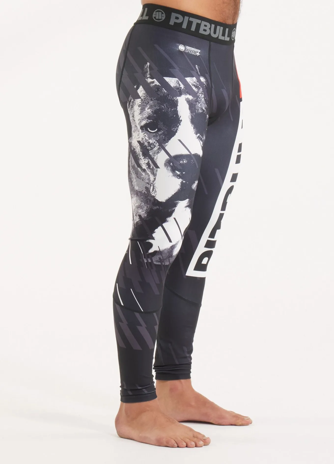 Sports leggings Street Dog