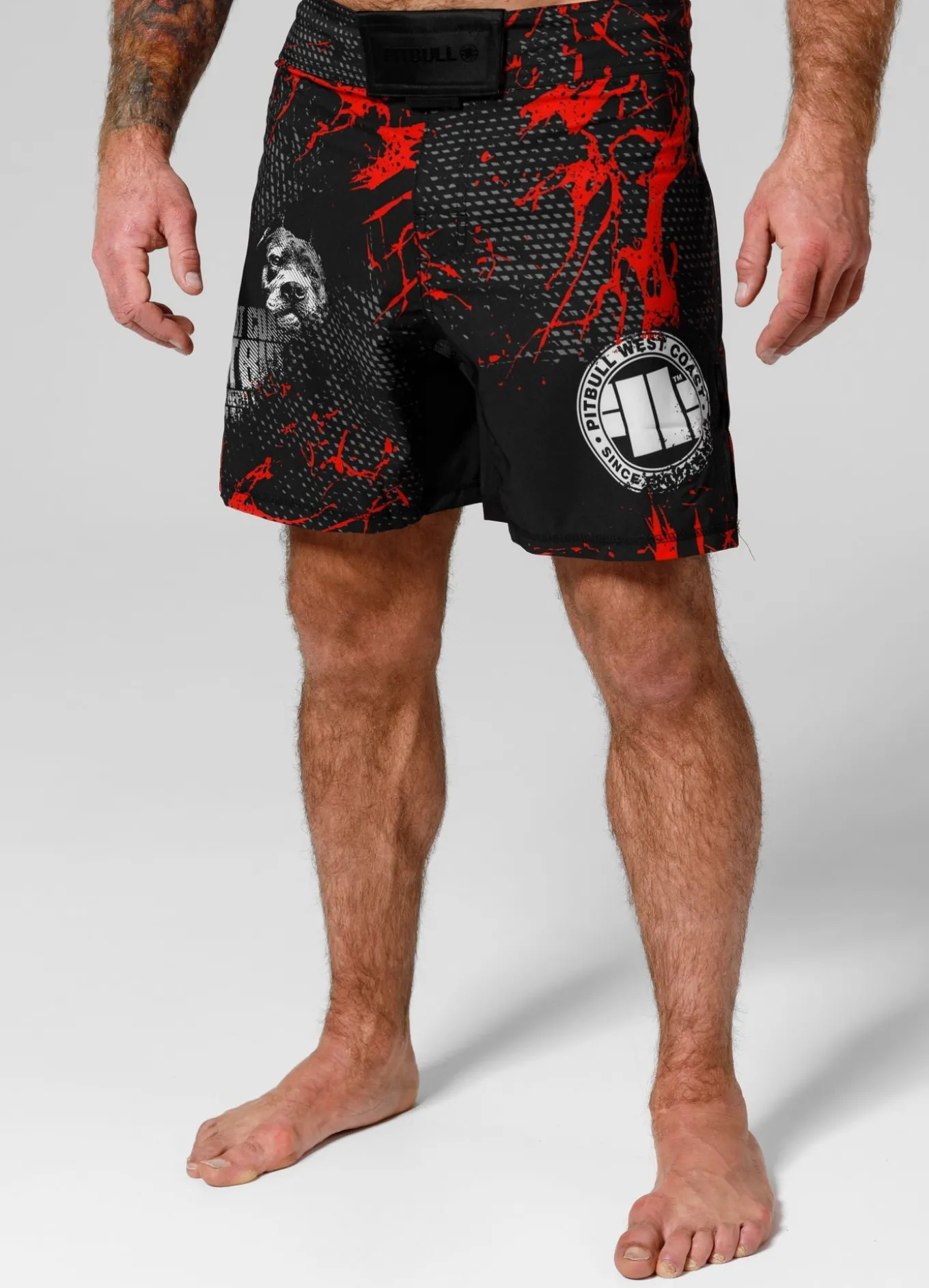 Training shorts Performance Pro plus Blood Dog II