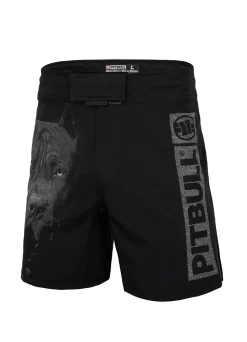 Training shorts Performance Pro plus Born in 1989