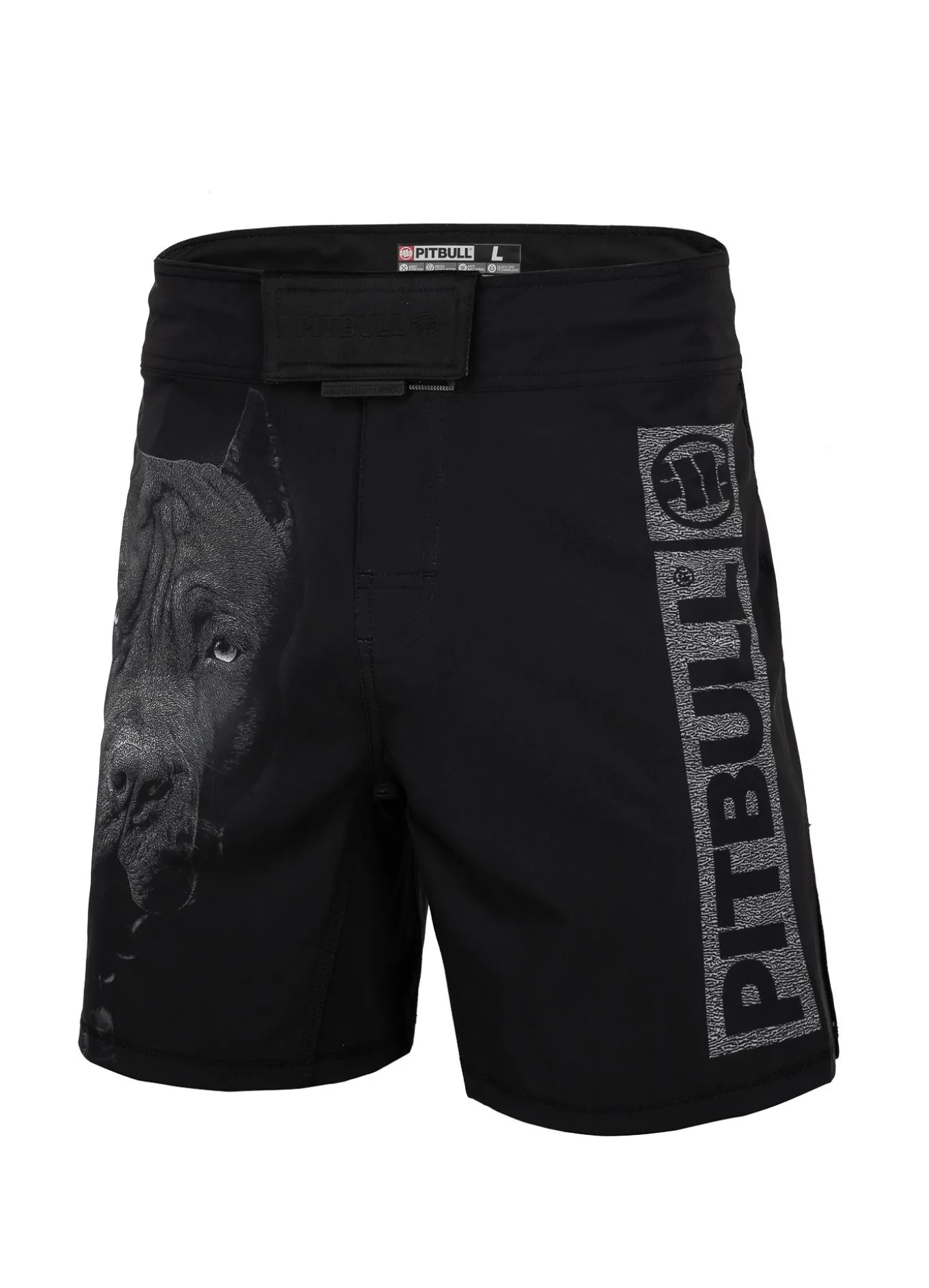 Training shorts Performance Pro plus Born in 1989