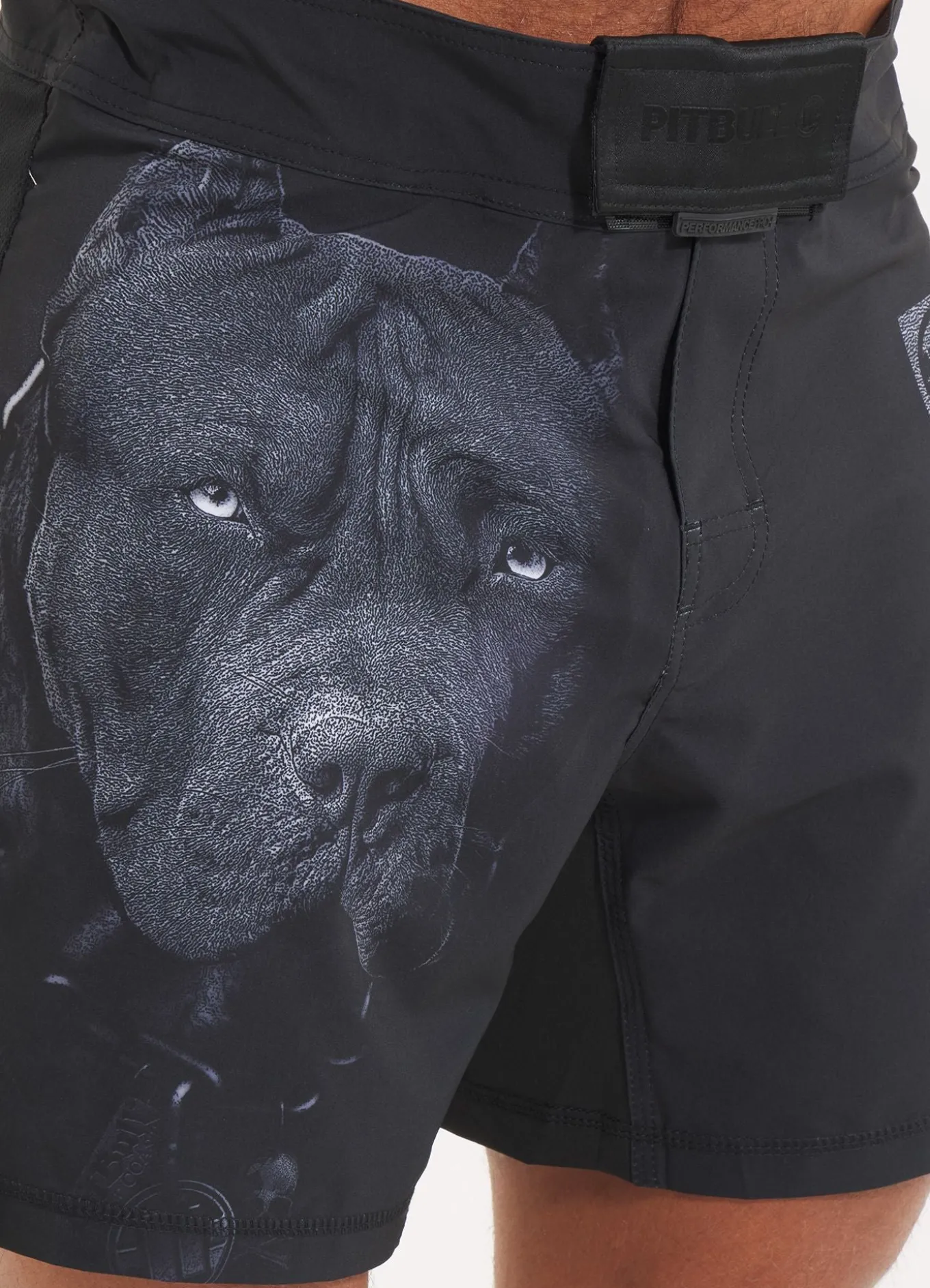 Training shorts Performance Pro plus Born in 1989