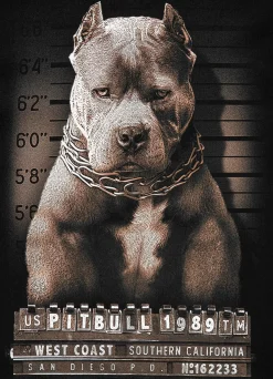 T-Shirt Mugshot II