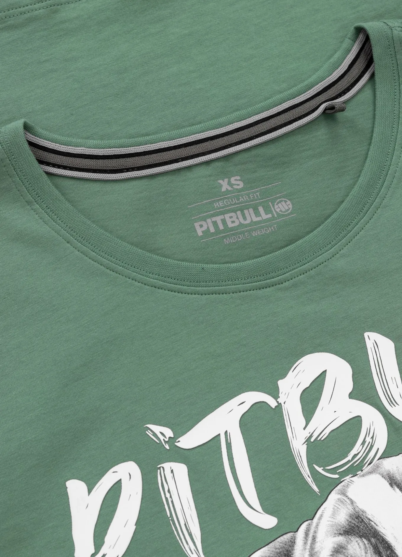Women's T-Shirt PUPPY II - Mint
